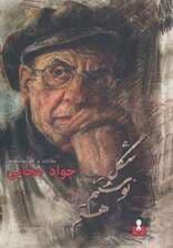 شکل نوشتنم هستم (مقالات و گفت و شنیدها)