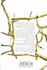 پادشاه پریان 1 (شاهزاده سنگدل)