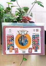 کیف کتاب آموزش سواد مالی به کودکان (سطح دو:دوره ی دوم دبستان)،(40جلدی)