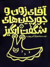 آقای زون و جورچین های شگفت انگیز