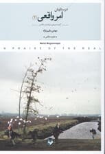 در ستایش امر واقعی 2 (گزیده متن‌هایی درباره هنر و عکاسی 1383 تا 1393)