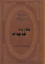 شازده کوچولو (چرمی)