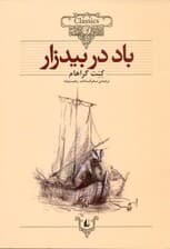 باد در بیدزار