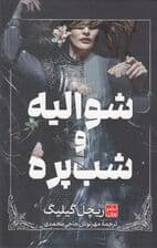 شوالیه و شب‌پره