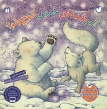 گم شده‌ای خرس کوچولو (قصه‌های خرس کوچولوی قطبی 4)