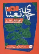 چای نعنا (سفرنامه و عکس‌های مراکش)