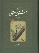 شرح جامع مثنوی معنوی 4