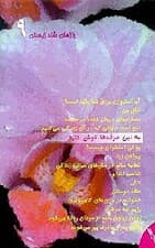 به این حرف‌ها گوش کنید (9)