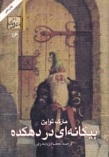 بیگانه‌ای در دهکده