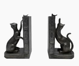 غش‌گیر کتاب طرح گربه و پروانه