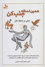همین لحظه جذب کن (راهنمای گام به گام به همراه ابزارها، تکنیک‌ها و فنون اثبات شده برای ارتقا سطح ارتعاش و خلق واقعیتی که می‌خواهید)