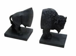 غش‌گیر کتاب طرح بوفالو