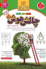 چالش هوش 1 (آسان)