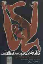 مروری بر تجربیات کارآمدی در محیط نهادی ناکارآمد