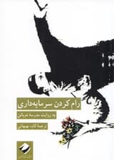 رام‌ کردن سرمایه‌داری