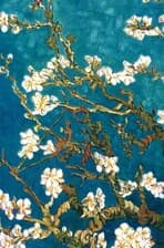 پلنر روزانه بلوار الیزابت 15 (کد 668)