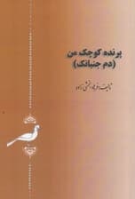 پرنده کوچک من (دم جنبانک)