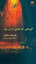 گربه‌ای که عاشق باران بود