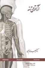 آناتومی تنه