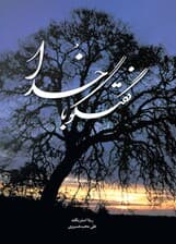 گفتگو با خدا