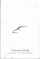 چگونه بالاتر از دیگران پرواز کنید (درس‌هایی برای پیروزی در زندگی و کسب و کار)