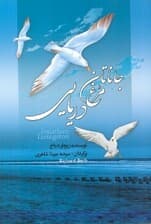 جاناتان مرغ دریایی (پرواز تا رهایی)