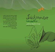 چیزی بیشتر از زندگی (در تکاپوی معنا) مجموعه ذهن زیبا