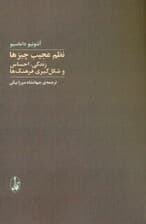 نظم عجیب چیزها (زندگی احساس و شکل‌گیری فرهنگ‌ها)