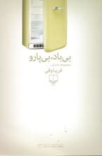 بی‌باد بی‌پارو (مجموعه داستان)