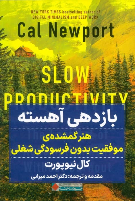 بازدهی آهسته (هنر گمشده موفقیت بدون فرسودگی شغلی)