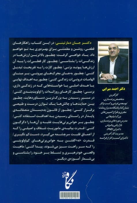 بازدهی آهسته (هنر گمشده موفقیت بدون فرسودگی شغلی)