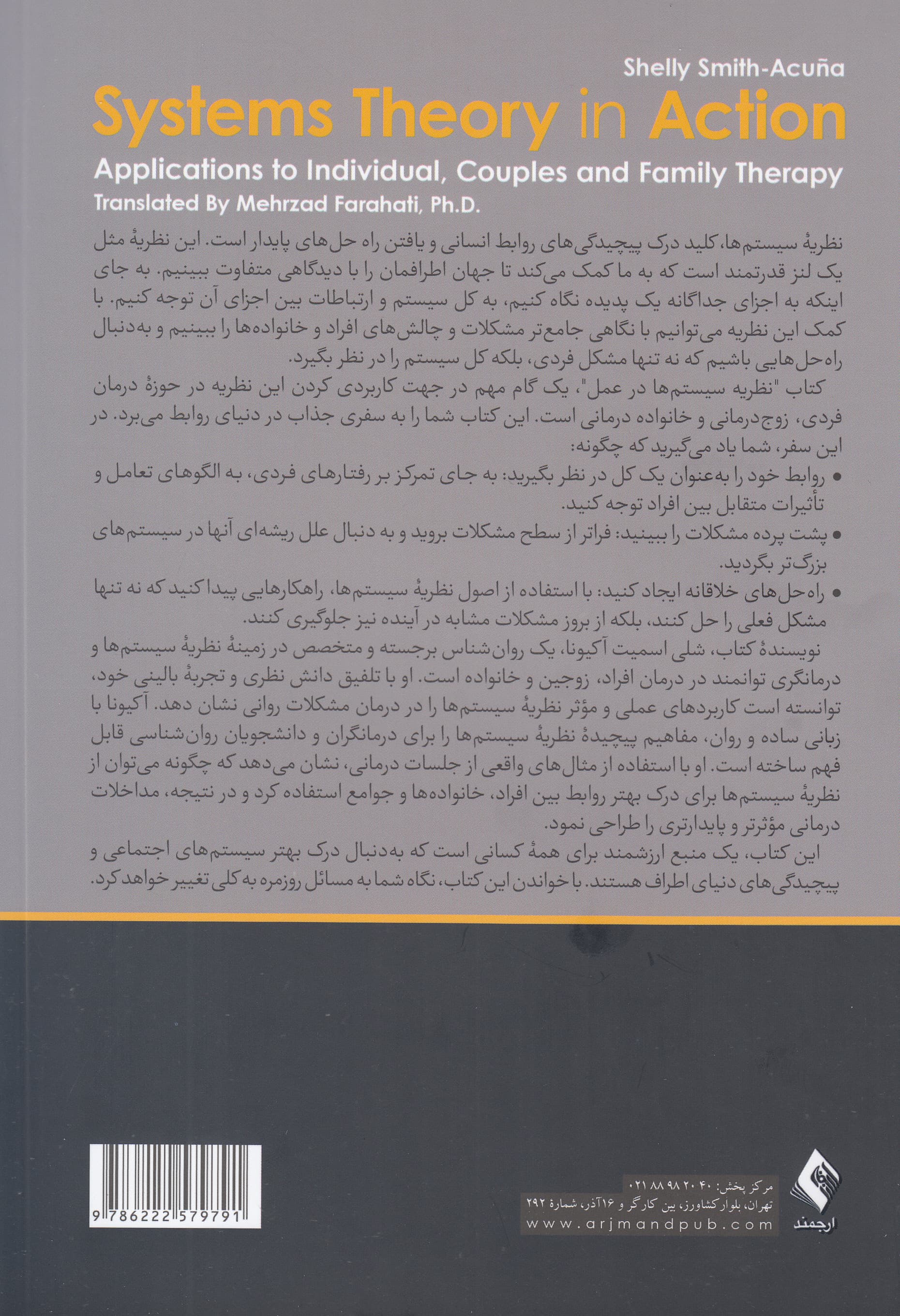 نظریه سیستمها در عمل (برنامههای کاربردی برای درمان فردی زوجدرمانی و خانوادهدرمانی)
