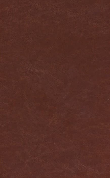 جنایت و مکافات (چرم)