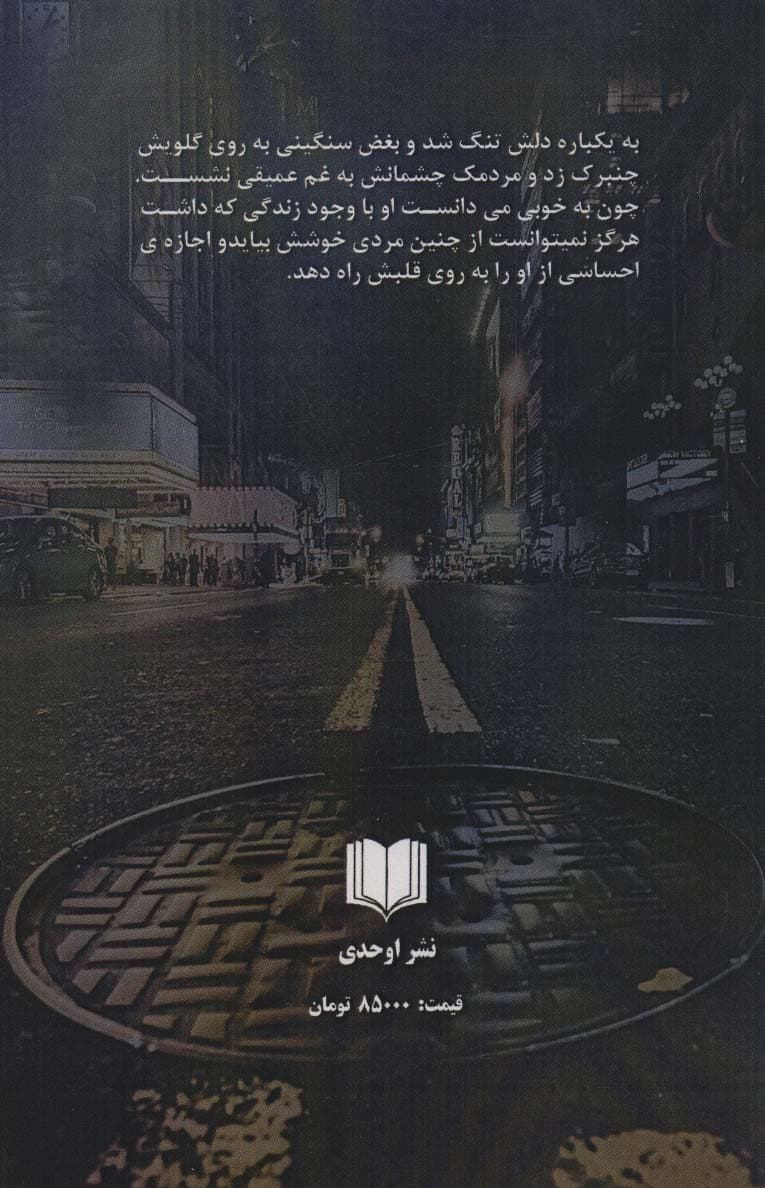 پس کوچه های خیال