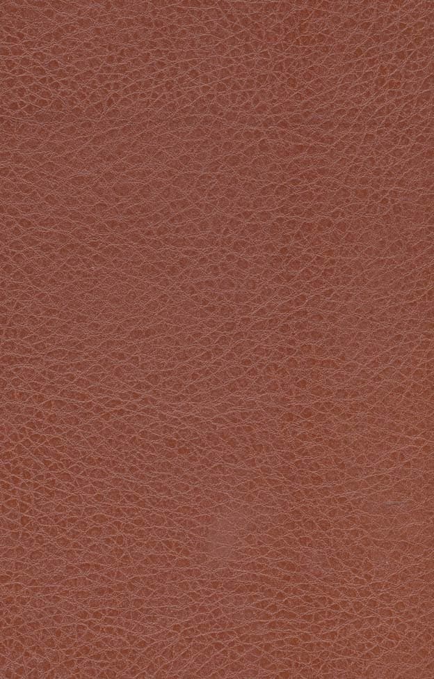 بخشنده ستارگان (چرم،لب طلایی)