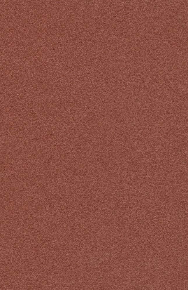 جاودانگان (چرم،لب طلایی)