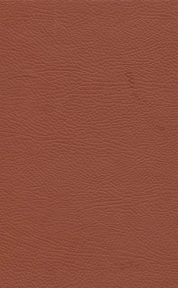 شکوه عشق (40 کلید عشق مولانا و شمس)،(چرم،لب طلایی)