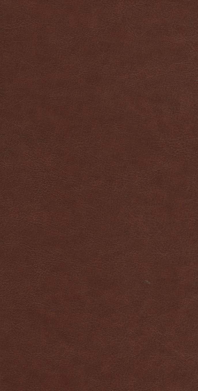 دیوان پروین اعتصامی (ترمو،پل دار،لیزری،باقاب)