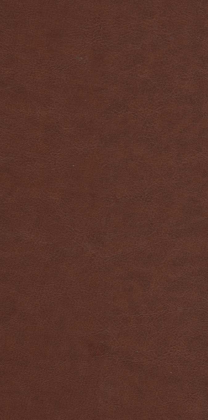 دیوان پروین اعتصامی (ترمو،پلدار،پلاک رنگی،لیزری،باقاب)