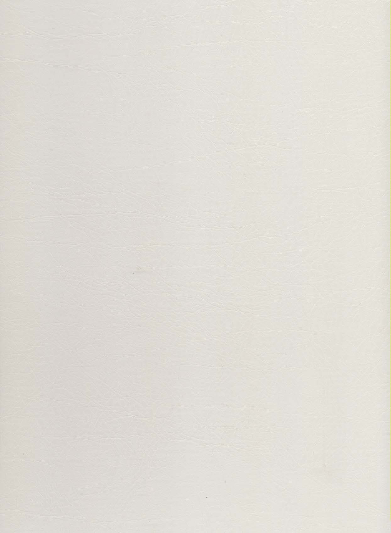 شاهکارهای نقاشی ایران (مروری بر آثار نقاشی نوین 4 تن از استادان دوره قاجار و معاصر)،(2زبانه،گلاسه)