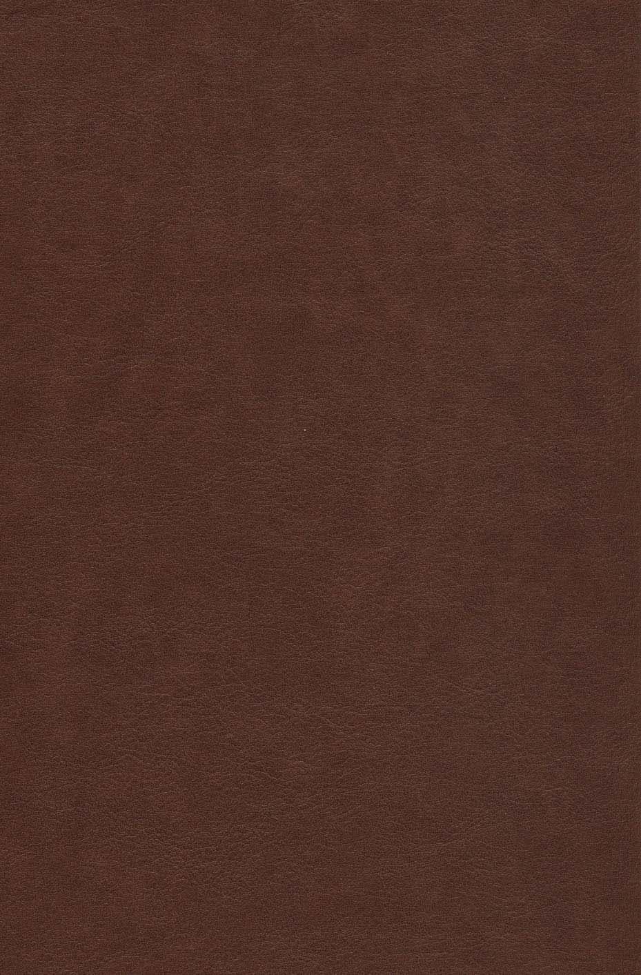 دیوان حافظ شیرازی همراه با فالنامه (باقاب،چرم،لب طلایی،لیزری)