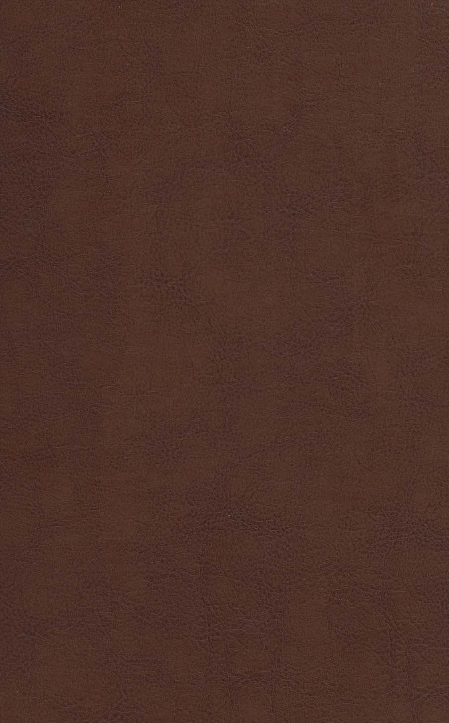 مثنوی معنوی (ترمو،پلاک رنگی،لیزری،باقاب)