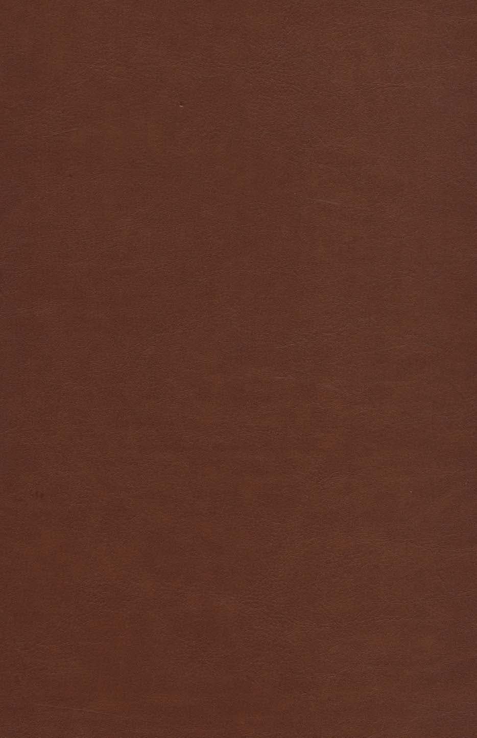 شاهنامه فردوسی (باقاب،ترمو،لیزری،پلاک دار رنگی)