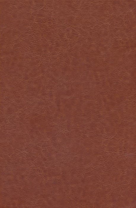 شاهنامه فردوسی (گلاسه،باجعبه،ترمو،پلدار)