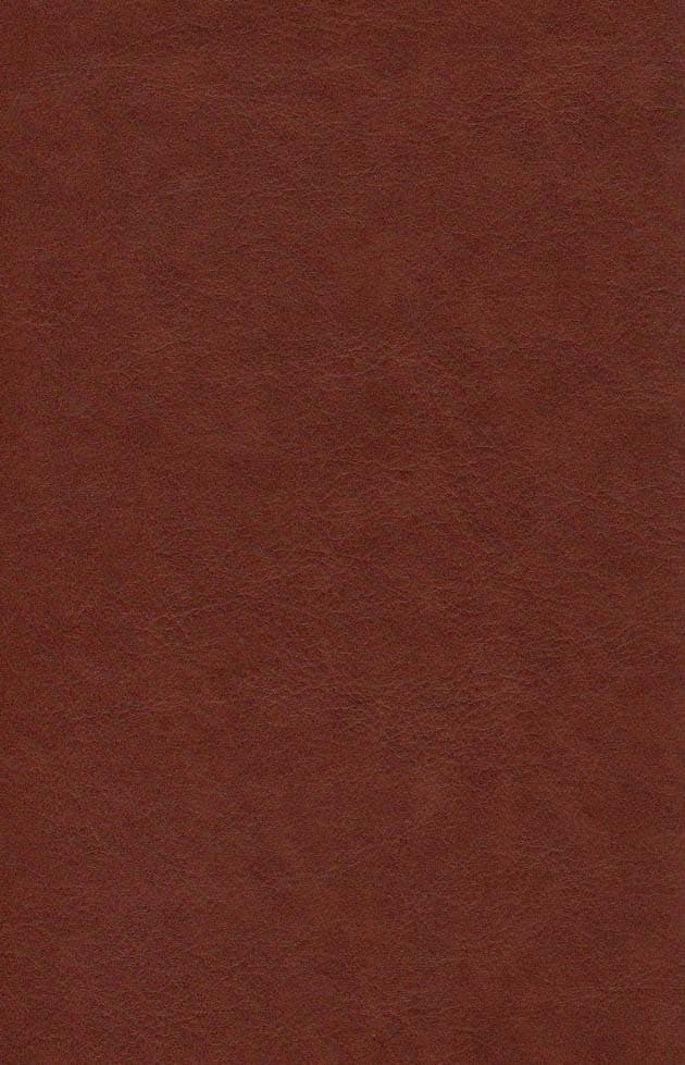 وصیت ها (چرم)