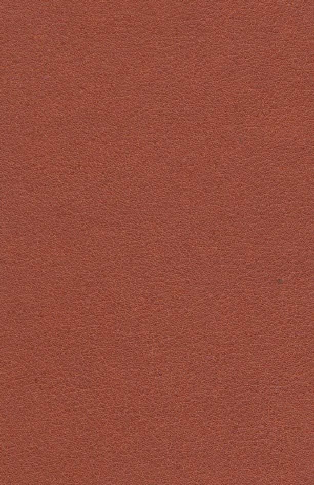 بردیا پسر کوروش بزرگ (چرم،لب طلایی)