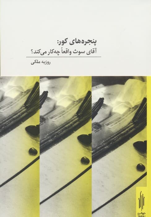 پنجره های کور:آقای سوث واقعا چه کار می کند؟ (2زبانه)