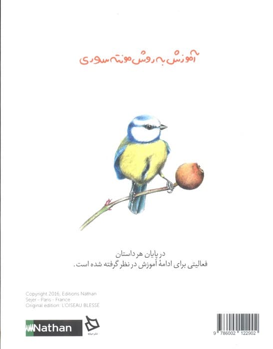 پرنده ی مجروح (آموزش به روش مونته سوری)