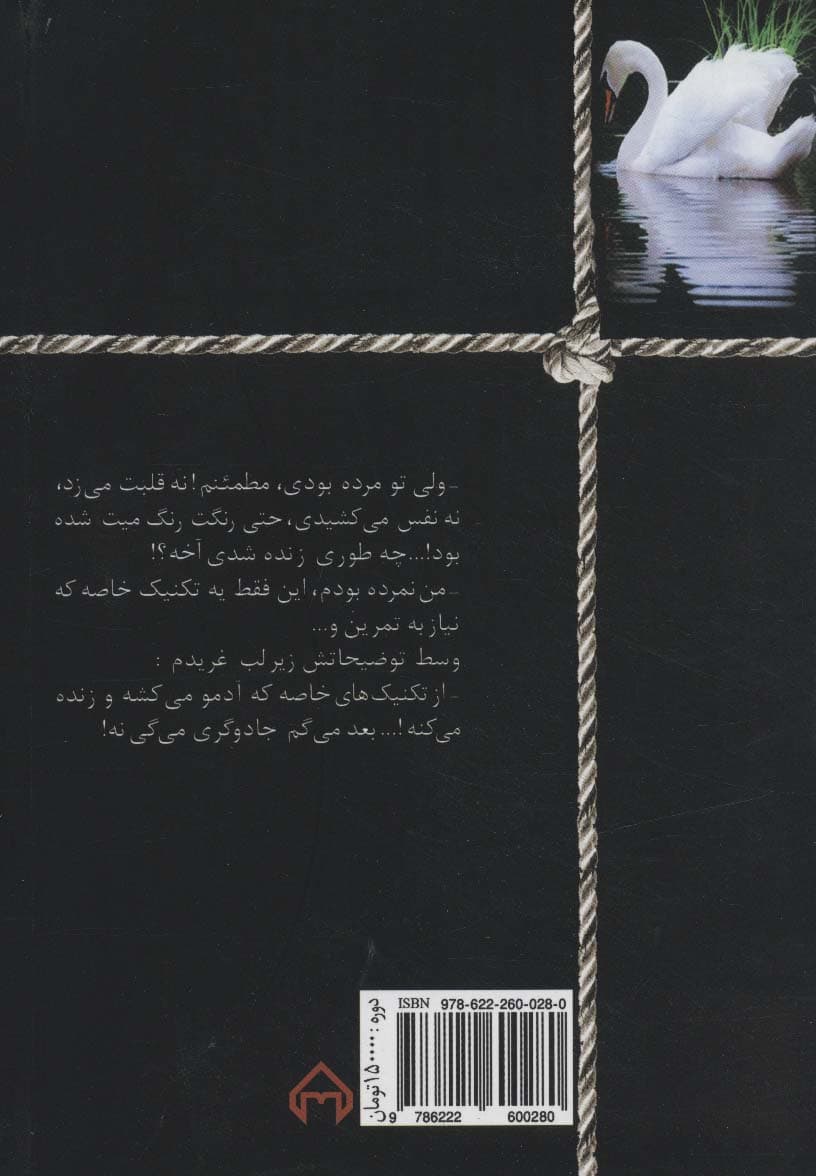 در پس نقاب (2جلدی)