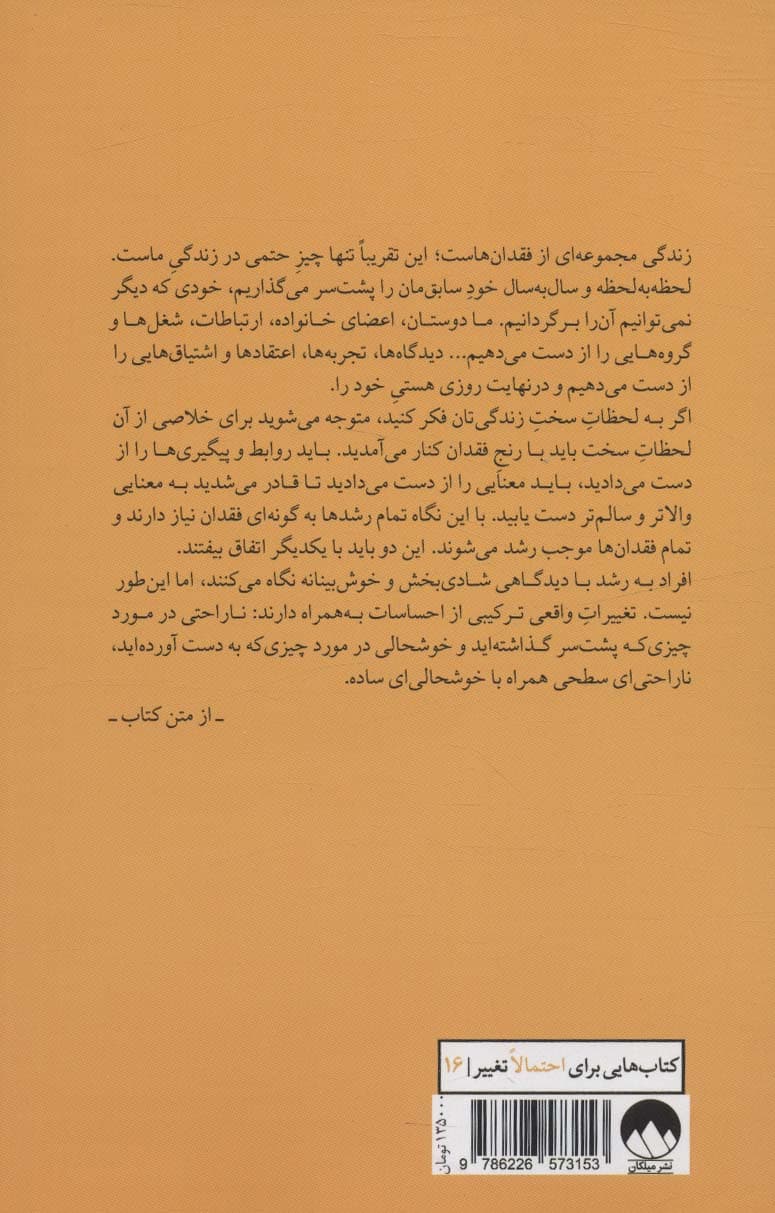 شاد بودن کافی نیست (جستارهایی در باب زیستن)